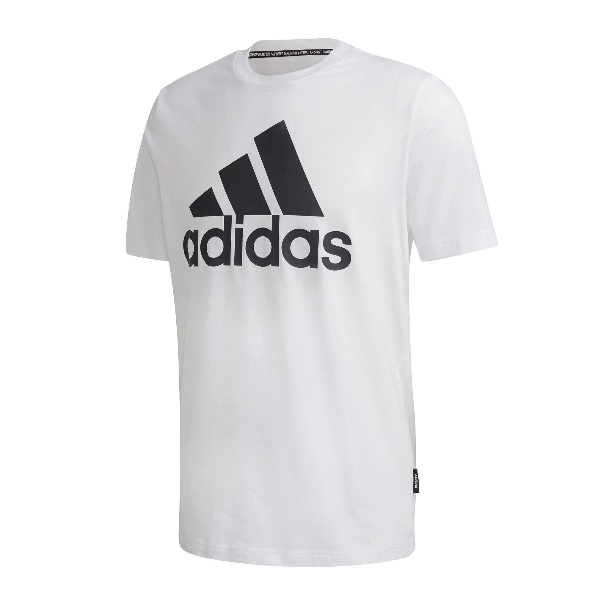 Playera